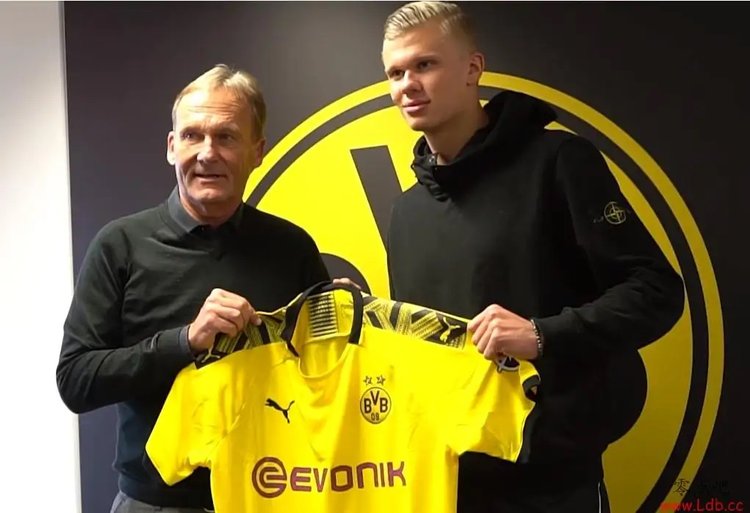 篮球火箭主力球员赛后接受采访（火箭队核心球员赛后接受媒体采访）