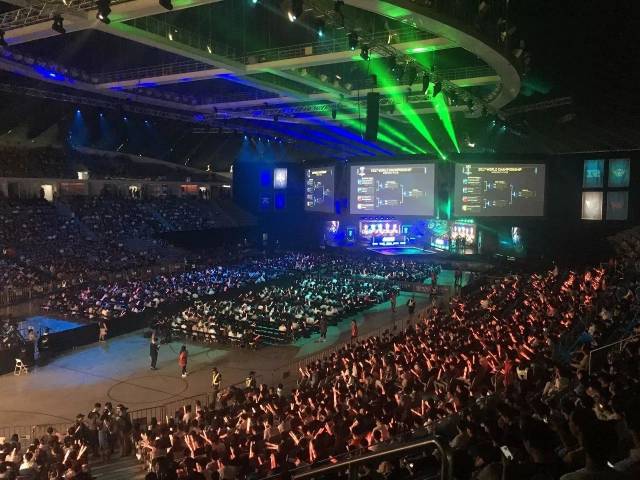 迷的关注 迷的关注